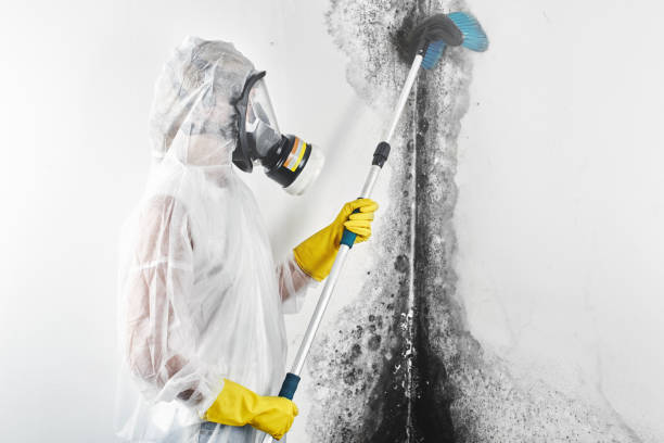 Best Mold Removal for HVAC Installations  in Moss Beach, CA